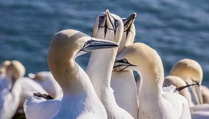 app下载-EWC直播：开启全场景互动的革新之门